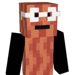 gavinr25 Minecraft avatar bust