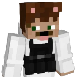gehassterJunge Minecraft avatar bust