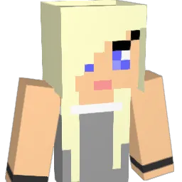 geschenkt Minecraft avatar bust