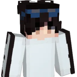 gffgfgfgf Minecraft avatar bust