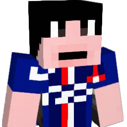 gillet123 Minecraft avatar bust