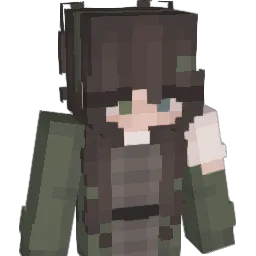 gingham Minecraft avatar bust