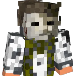 ginyjunge's Minecraft skin