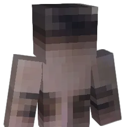 gjd213 Minecraft avatar bust
