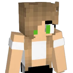 gogarty Minecraft avatar bust