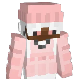 gomesgb Minecraft avatar bust