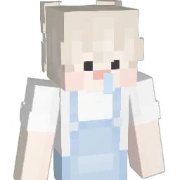gomgom1A's Minecraft skin