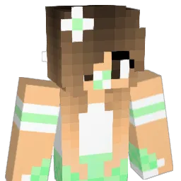 grace1055 Minecraft avatar bust