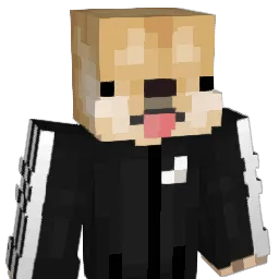 graciieee11 Minecraft avatar bust