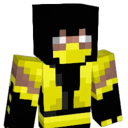 gracz_1 Minecraft avatar bust