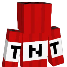 grave234 Minecraft avatar bust