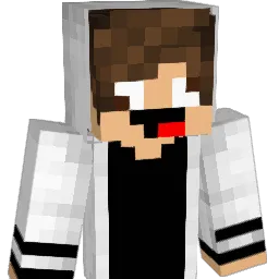 graves11 Minecraft avatar bust