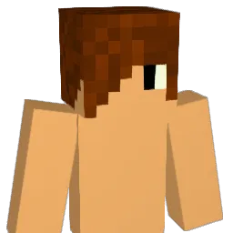 gravititt Minecraft avatar bust