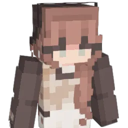gray4s Minecraft avatar bust
