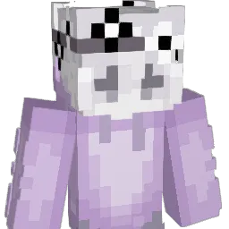greninja4284 Minecraft avatar bust