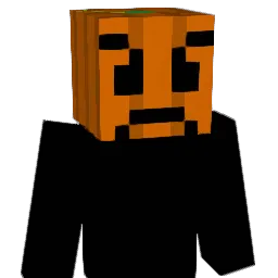 greynaab Minecraft avatar bust