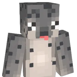 greyseal1 Minecraft avatar bust
