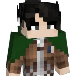 gsw22 Minecraft avatar bust
