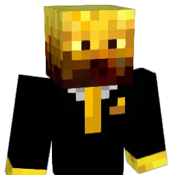 gu20st12av Minecraft avatar bust