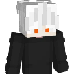gubgub111 Minecraft avatar bust