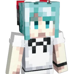 gutsplash Minecraft avatar bust