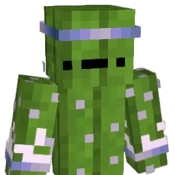 h1h11h1 Minecraft avatar bust