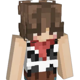 h4is3 Minecraft avatar bust