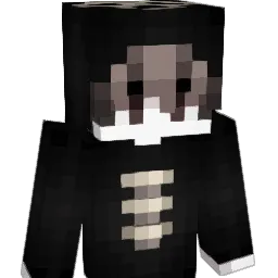 h4v Minecraft avatar bust