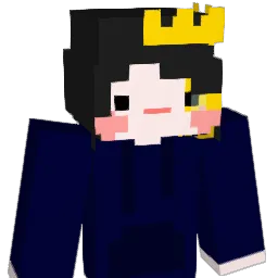 h_wr_ Minecraft avatar bust