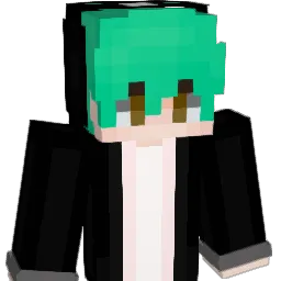 ha_bin50 Minecraft avatar bust