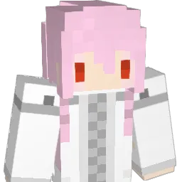 haasin8888 Minecraft avatar bust