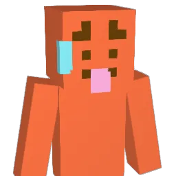 hab216 Minecraft avatar bust