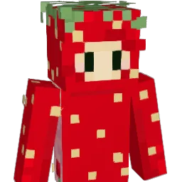 haileyfw6 Minecraft avatar bust