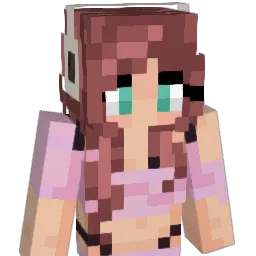 hailss11 Minecraft avatar bust