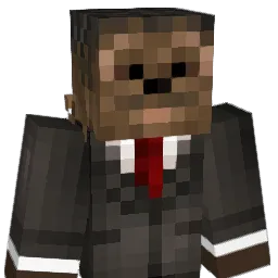 halfSpinDoctor Minecraft avatar bust