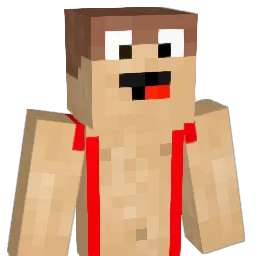 halodestroy117 Minecraft avatar bust