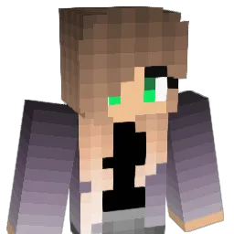 hals2319 Minecraft avatar bust