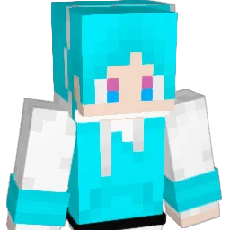 ham2441 Minecraft avatar bust