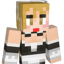 hamhocks Minecraft avatar bust
