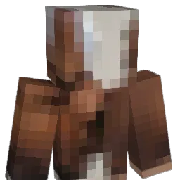 hamishreid007 Minecraft avatar bust