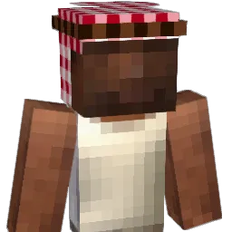 hammond8511 Minecraft avatar bust