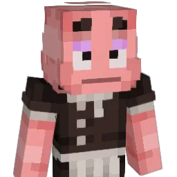hammyhamster2 Minecraft avatar bust