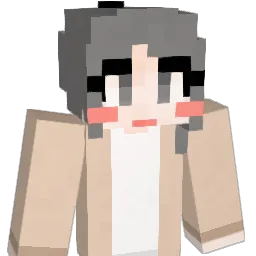 han_a_Y Minecraft avatar bust