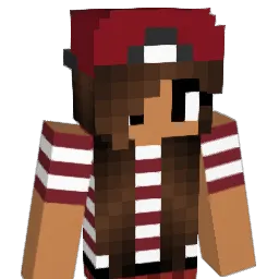 handstands2017 Minecraft avatar bust