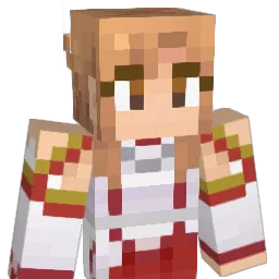 hank0221 Minecraft avatar bust