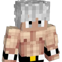hank_18 Minecraft avatar bust