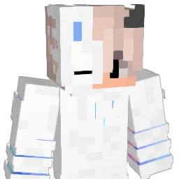 hankgostosaoo_ Minecraft avatar bust