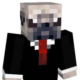 hanku_hnsb Minecraft avatar bust