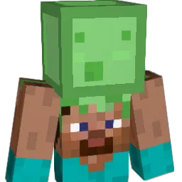 hanmax123 Minecraft avatar bust