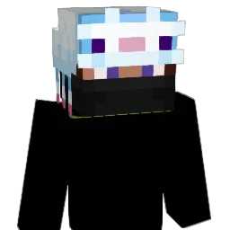 hannhums's Minecraft skin